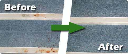 carpetBA2